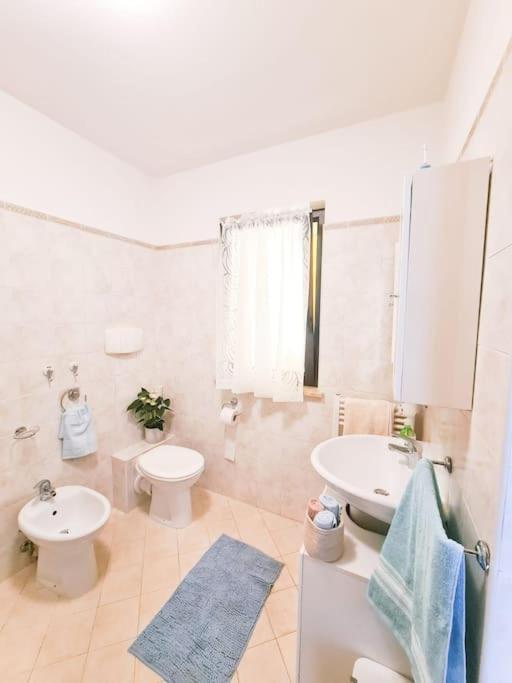 Lovely Flat With See View ロゼート・デッリ・アブルッツィ エクステリア 写真