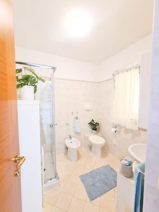 Lovely Flat With See View ロゼート・デッリ・アブルッツィ エクステリア 写真